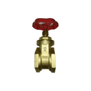 gate-valve-500x500-1